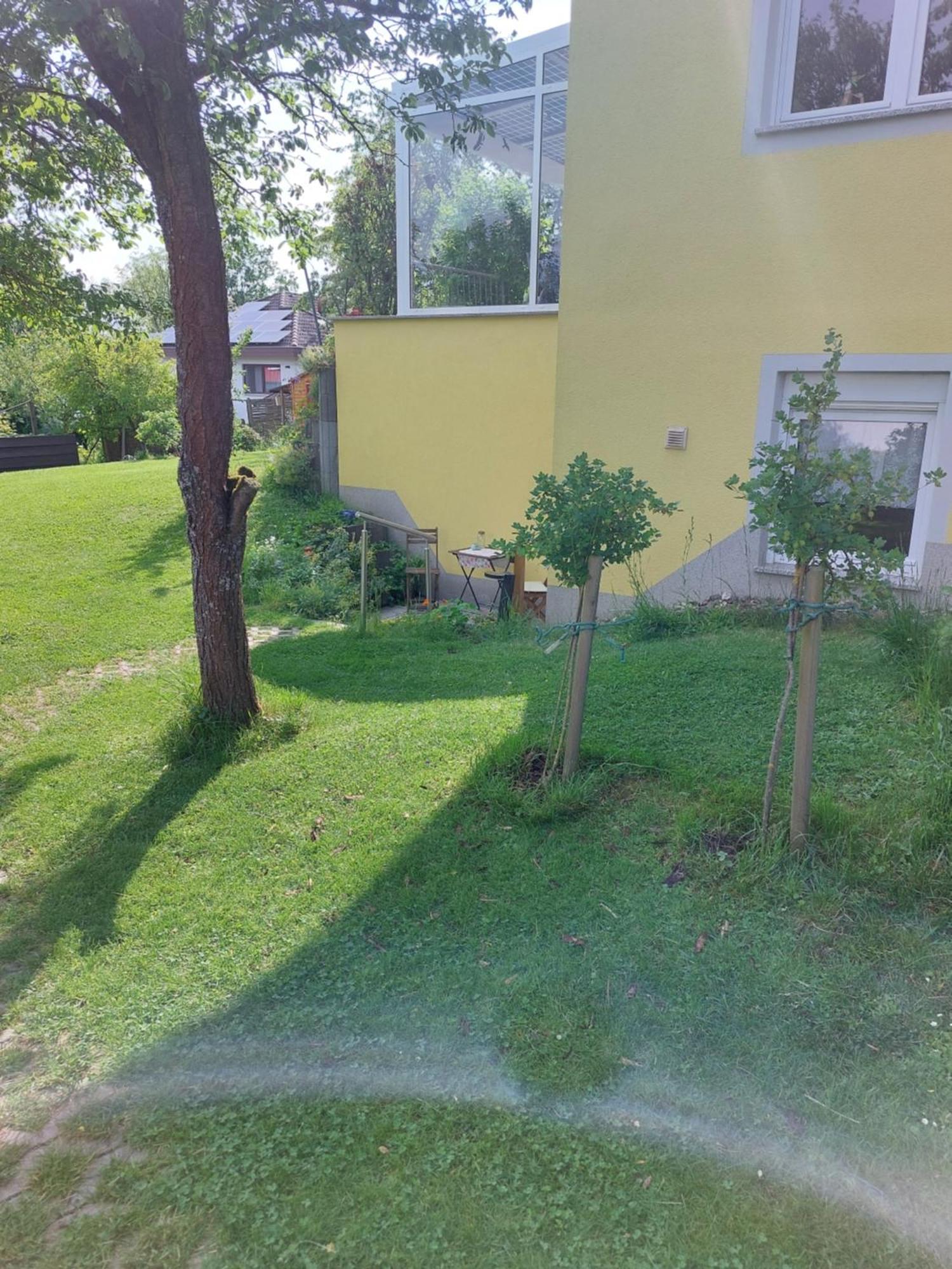 Gelbes Haus Heldritt Apartment Bad Rodach Luaran gambar
